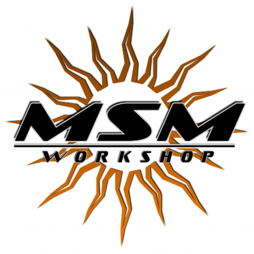 Logo Msm workshop